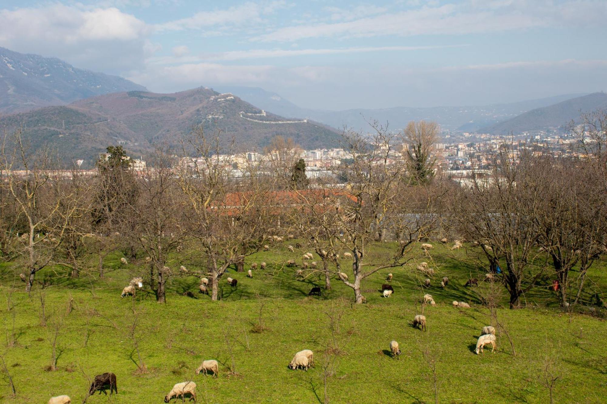 Caledonia B&B Mercato San Severino Exteriör bild